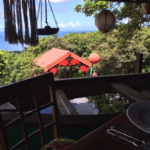 Resto-vue-poissonrouge